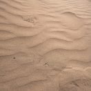 Serene golden sand dunes creating natural patterns under the Spanish sun.